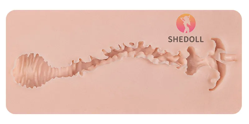 06-03-vaginaldepth-12cm-B.webp